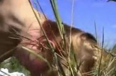 Amateur sex in de duinen